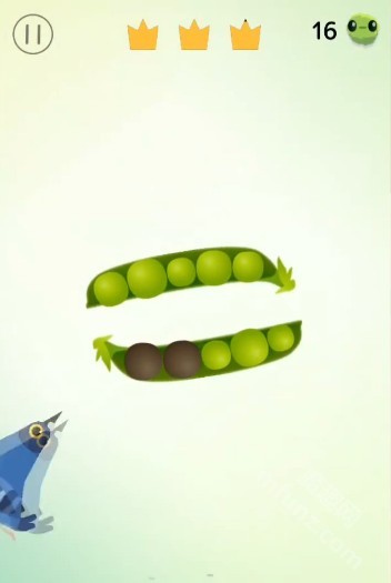 乱啄的鸽子游戏