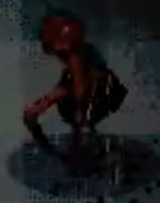 植物大战僵尸恐怖版