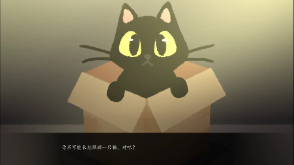 别带这只猫回家完整版31760