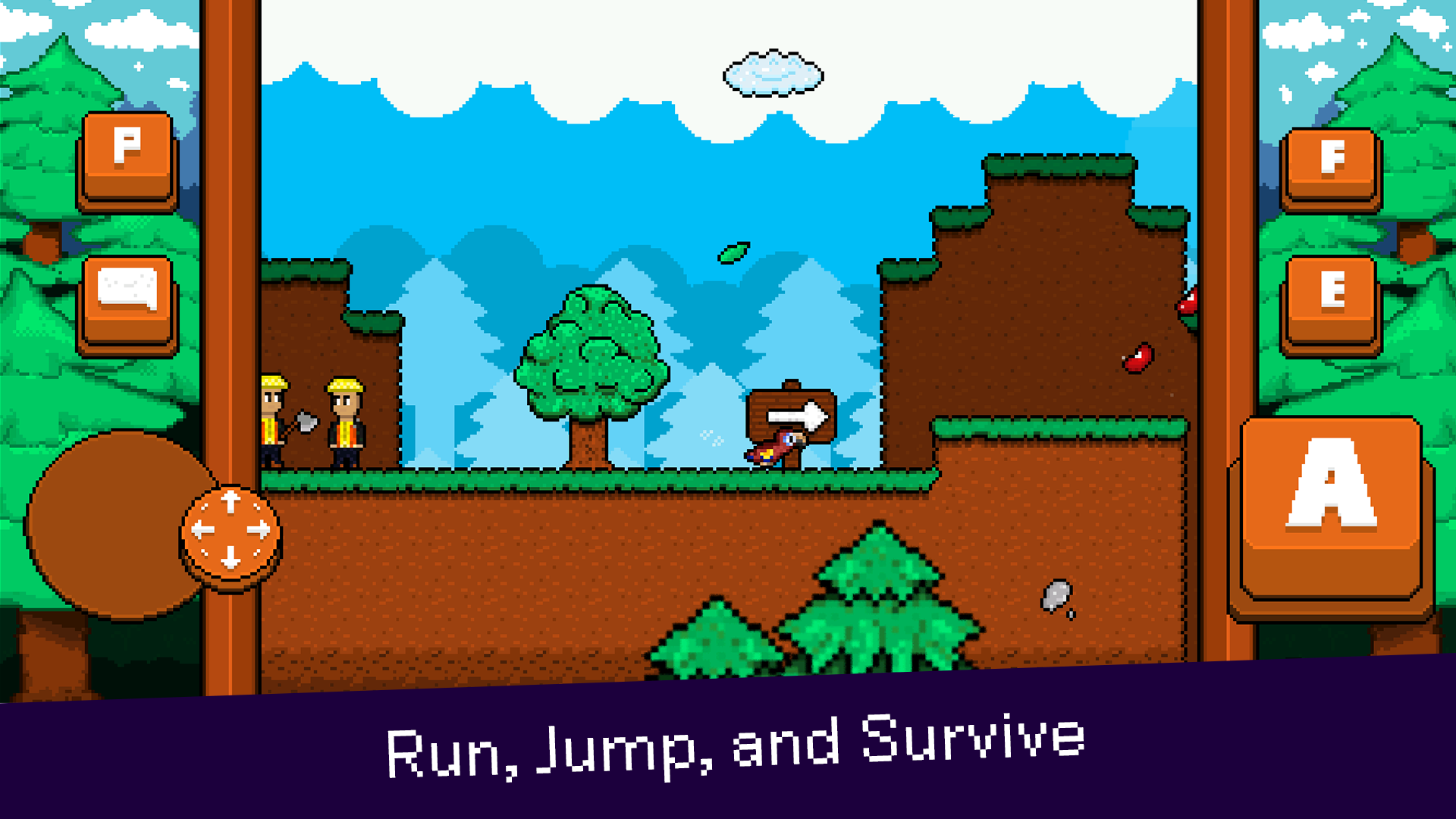 最后的金刚鹦鹉31763