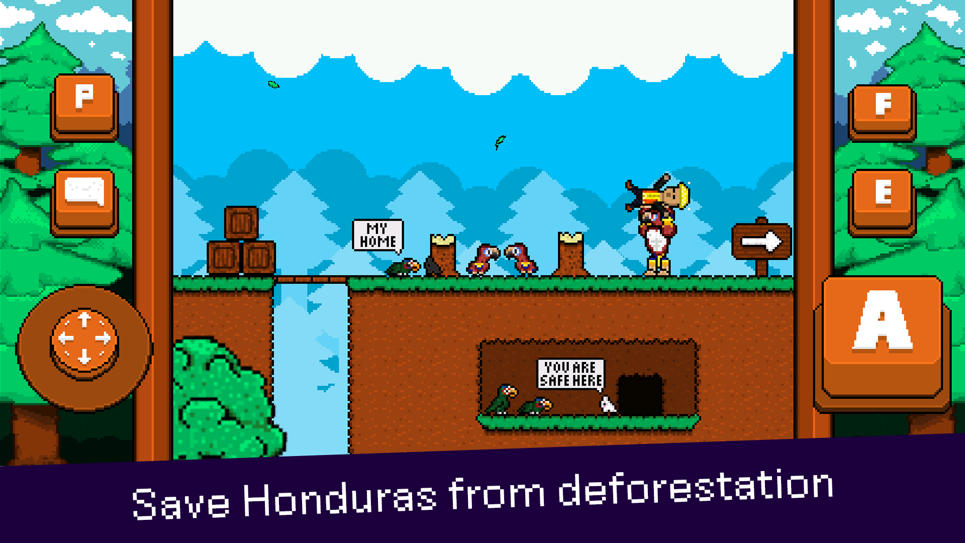 最后的金刚鹦鹉31763