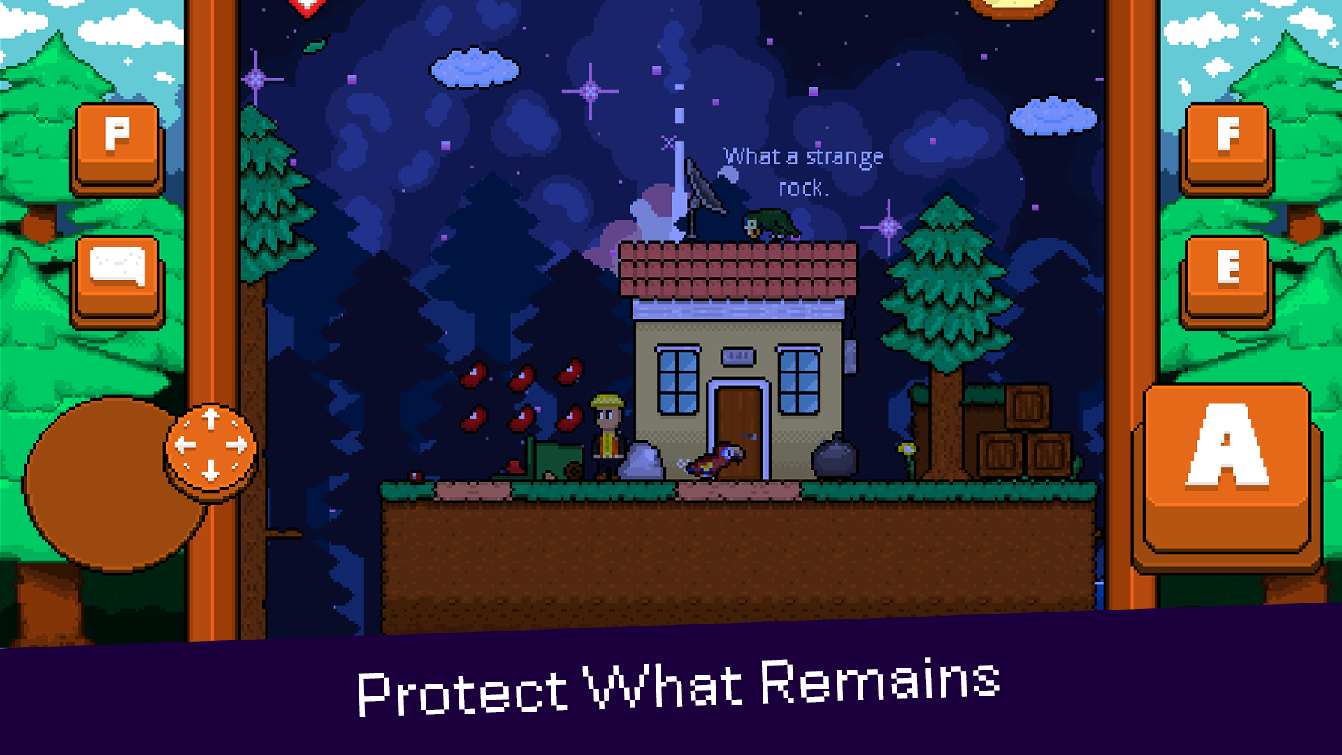 最后的金刚鹦鹉