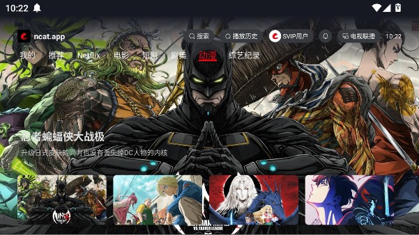 网飞猫电视版安装包