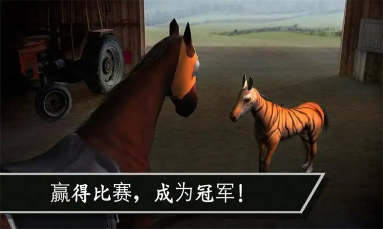 赛马赢得杯赛挑战2