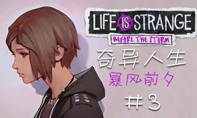 奇异人生:暴风前夕优化版