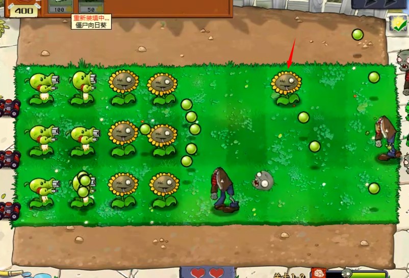 植物大战僵尸喵版最新版手机版