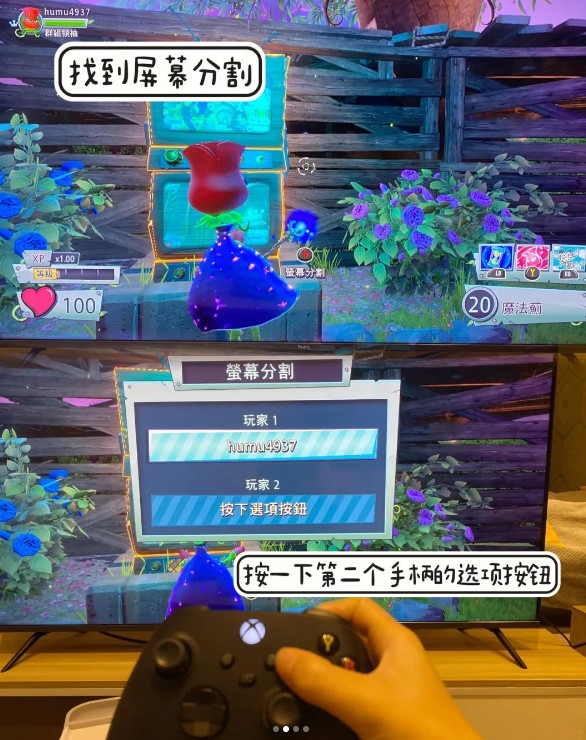 植物大战僵尸花园战争2手机版