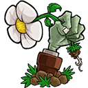 植物大战僵尸1.8.2精华版
