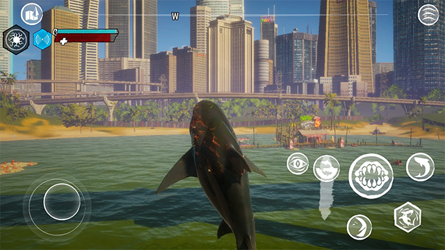 食人鲨手机版32564