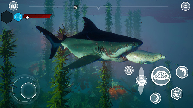 食人鲨手机版32564