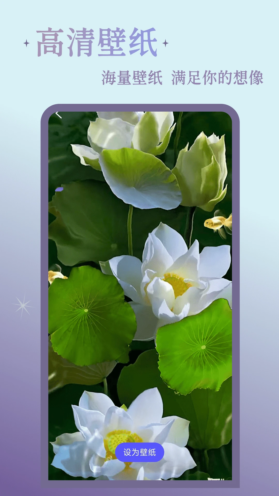 锦鲤来电秀17058