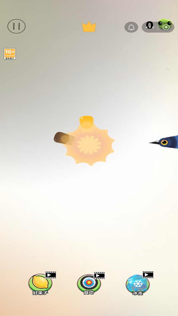 疯狂的鸽子双人版32636