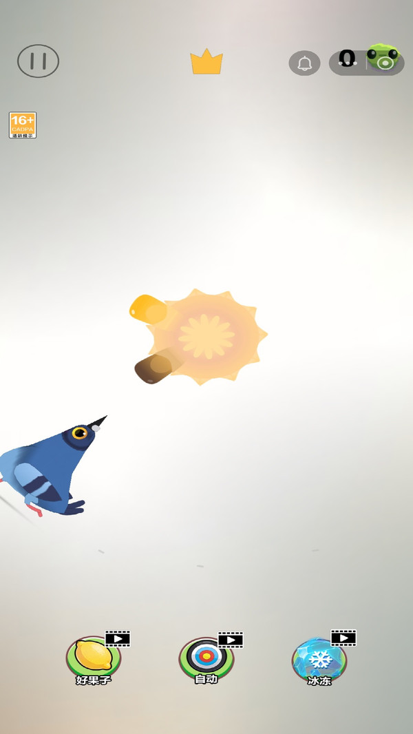 疯狂的鸽子双人版32636