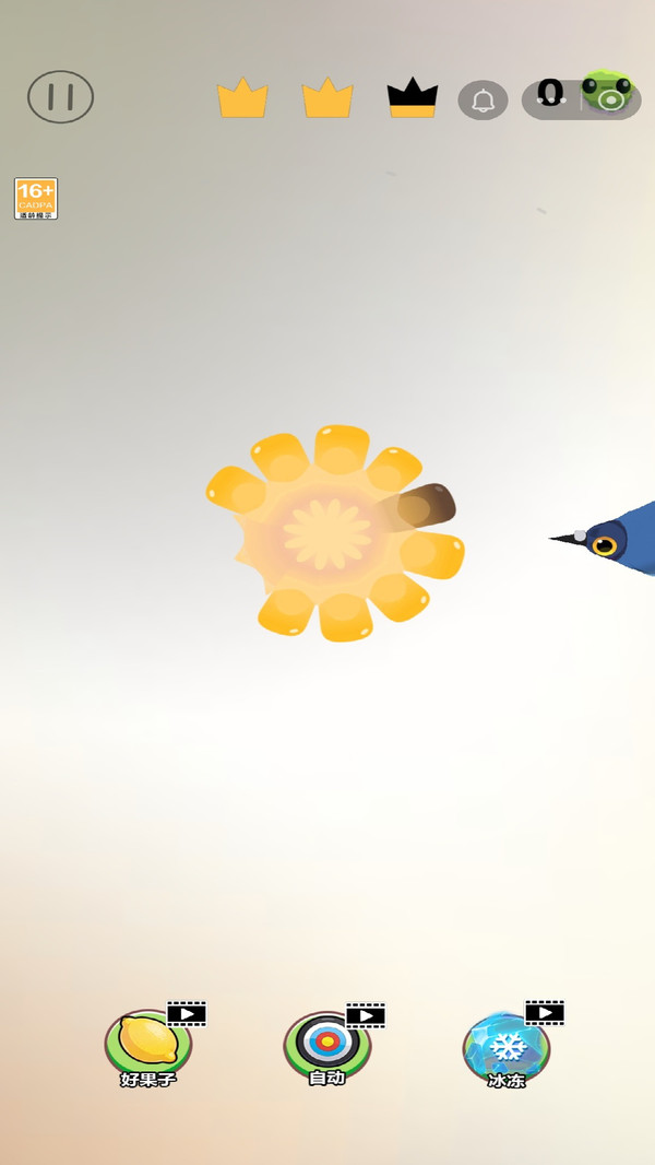 疯狂的鸽子双人版