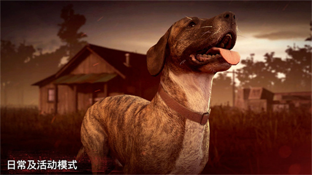 勇闯死人谷2官方正版3