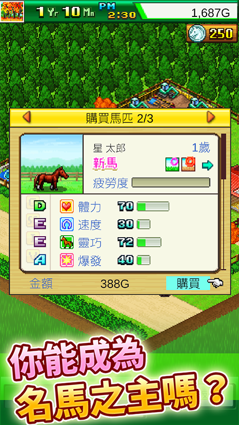 赛马牧场物语中文版2