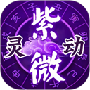 灵动紫微安卓版