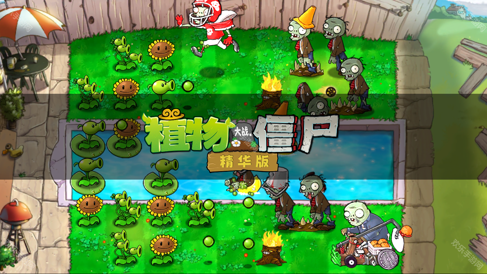 PVZ精华版1.9.1版33255