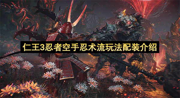 仁王3忍者空手忍术流玩法配装介绍