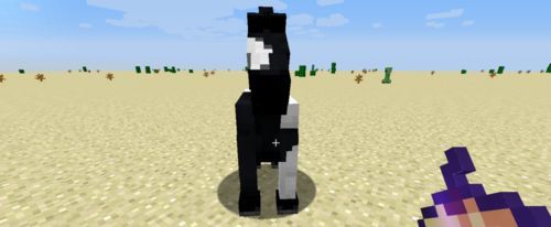 我的世界java版手机版