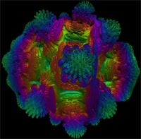 毒蘑菇手机测试