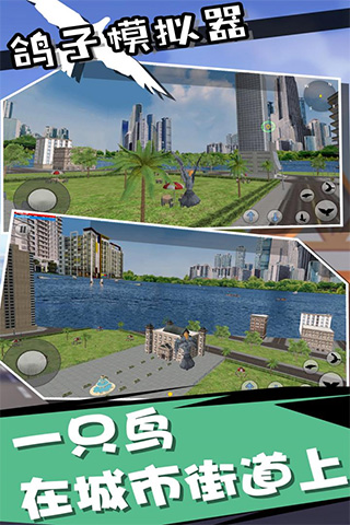 鸽子模拟器1