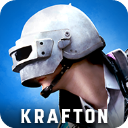 pubgnewstate官网版