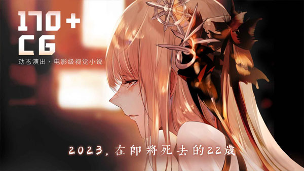 孟德大小姐与自爆少年26013