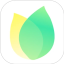 飞火动态壁纸最新版