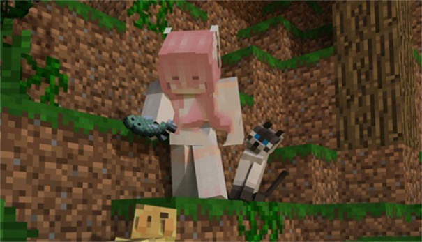 我的世界猫娘模组资源包34085