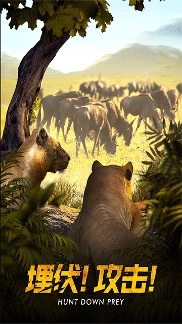 野兽领主新世界最新版1