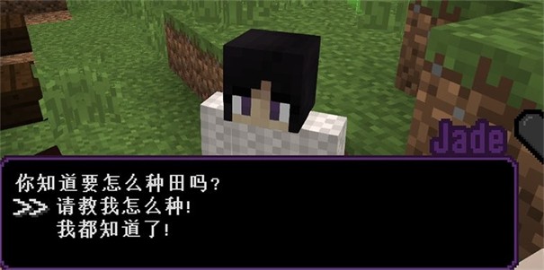 我的世界丰收物语整合包