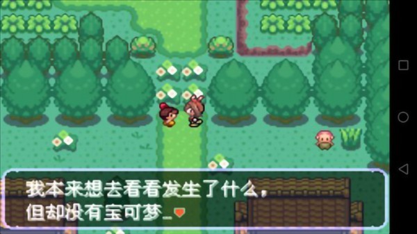 口袋妖怪刽曜之影5