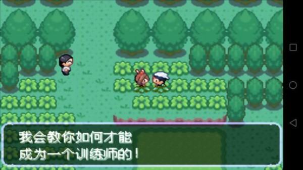 口袋妖怪刽曜之影10