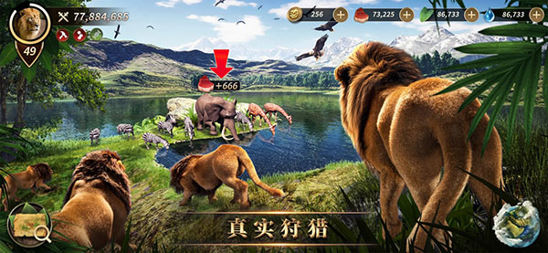 野兽领主新世界中文版2