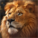 野兽领主新世界中文版