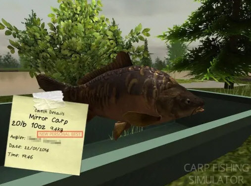 鲤鱼垂钓模拟器34623