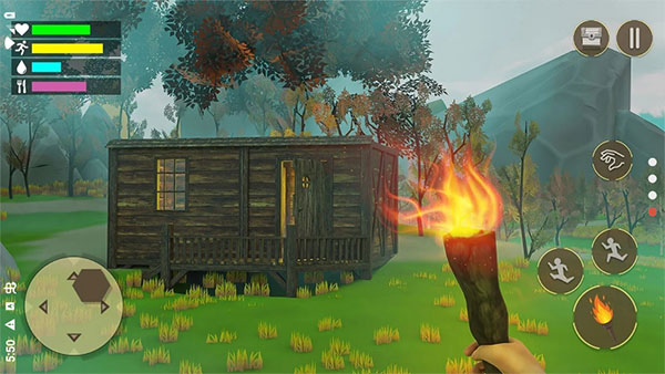 石器时代生存岛1