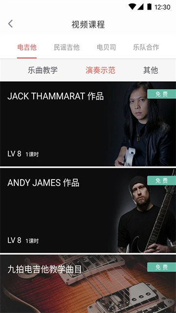 畅弹吉他专业版17994