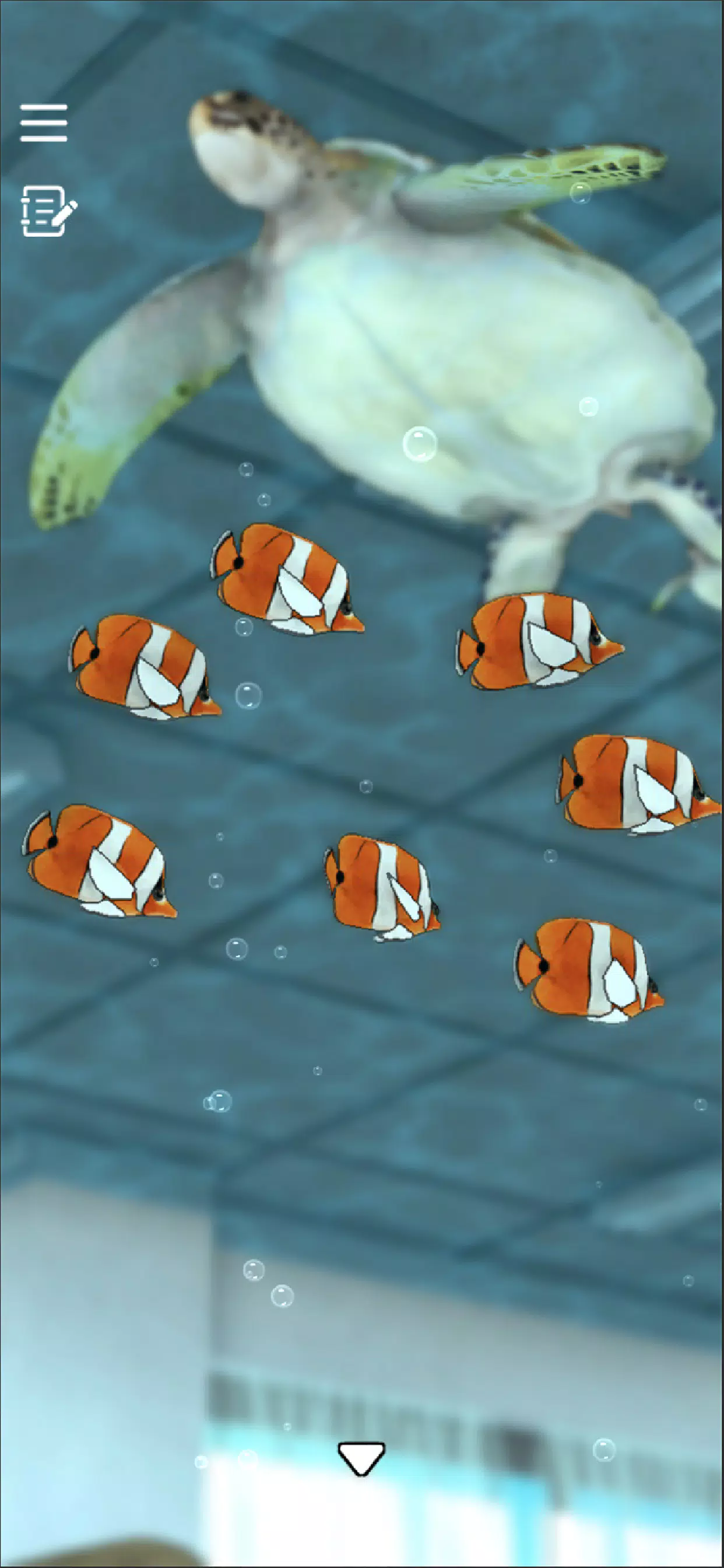 密室逃脱青色放课后