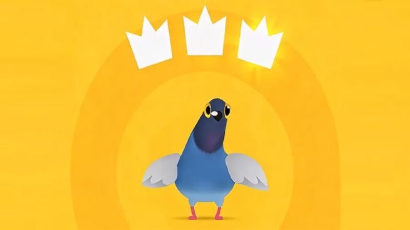 疯狂的鸽子手游35315