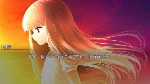 生死永相随永相伴galgame2