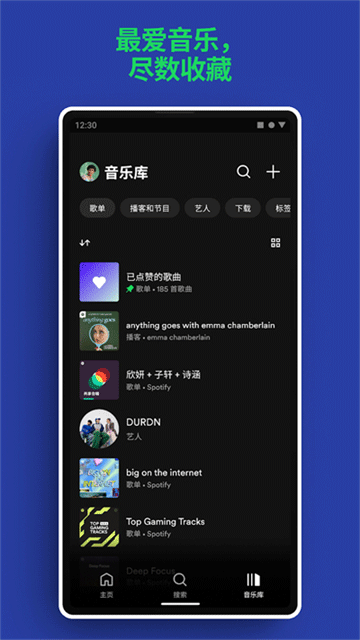 Spotify高级版2