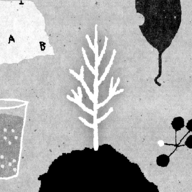 她的树游戏免费手机版