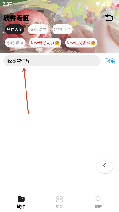 倾城软件库官方版