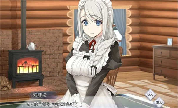 我与索菲亚的秘密中文版