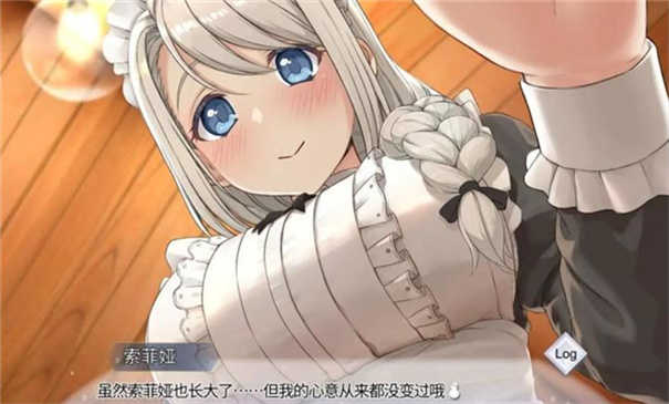 我与索菲亚的秘密中文版