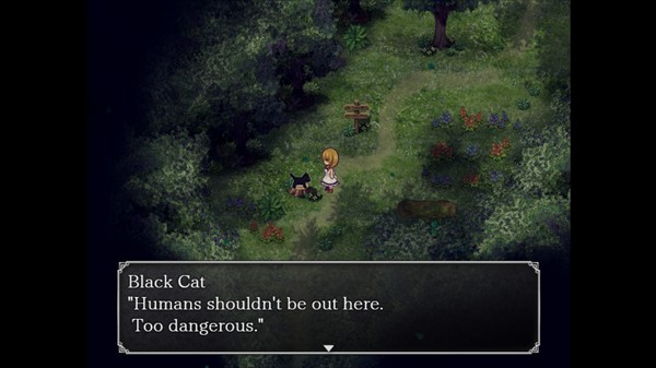 魔女之家许愿版