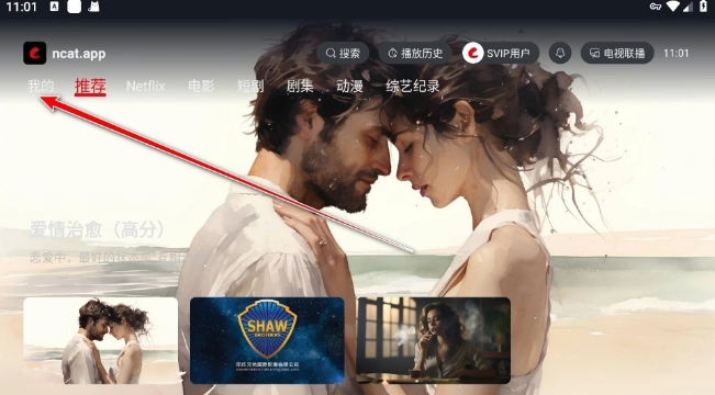 网飞猫电视版