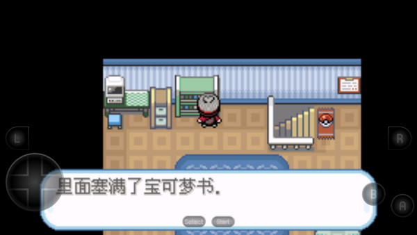 宝可梦剑盾终极加强版1